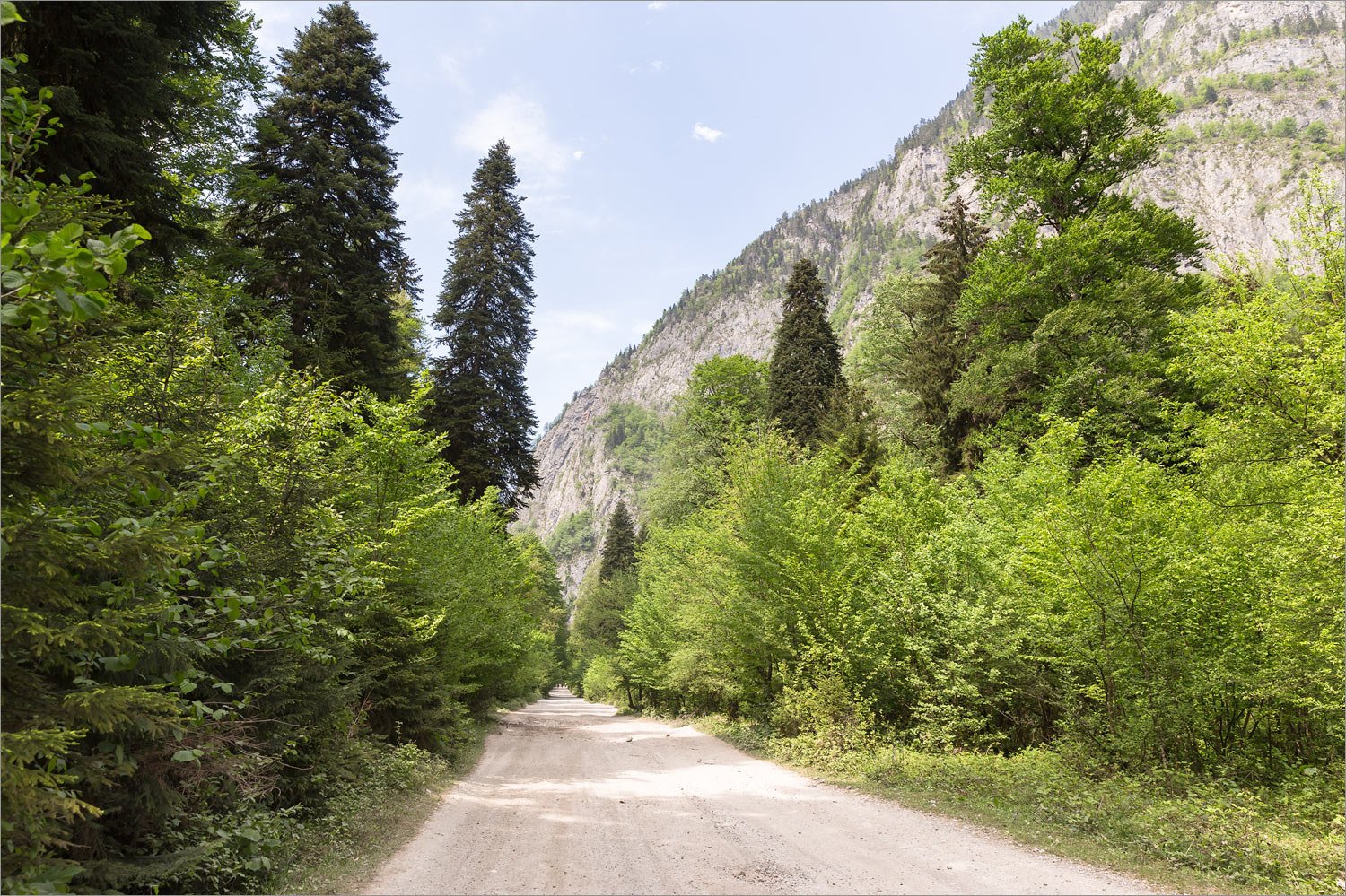 Долина реки Гега, image of landscape/habitat.