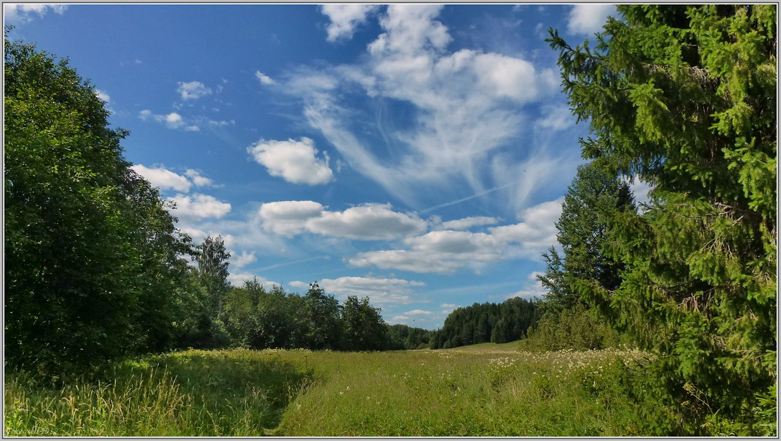 Деревня Коншаки, image of landscape/habitat.