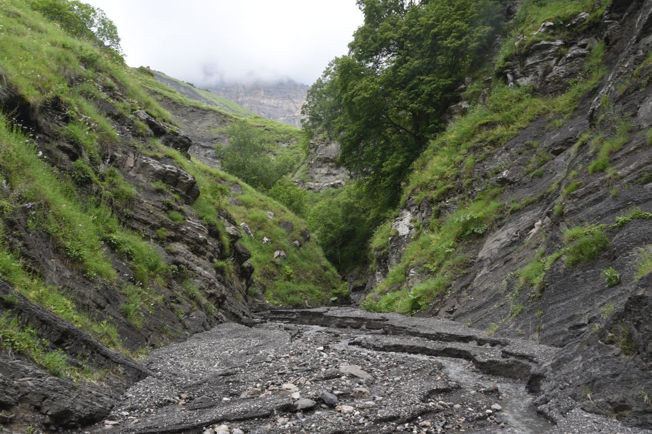 Ещё один левый приток Цесиахк, image of landscape/habitat.