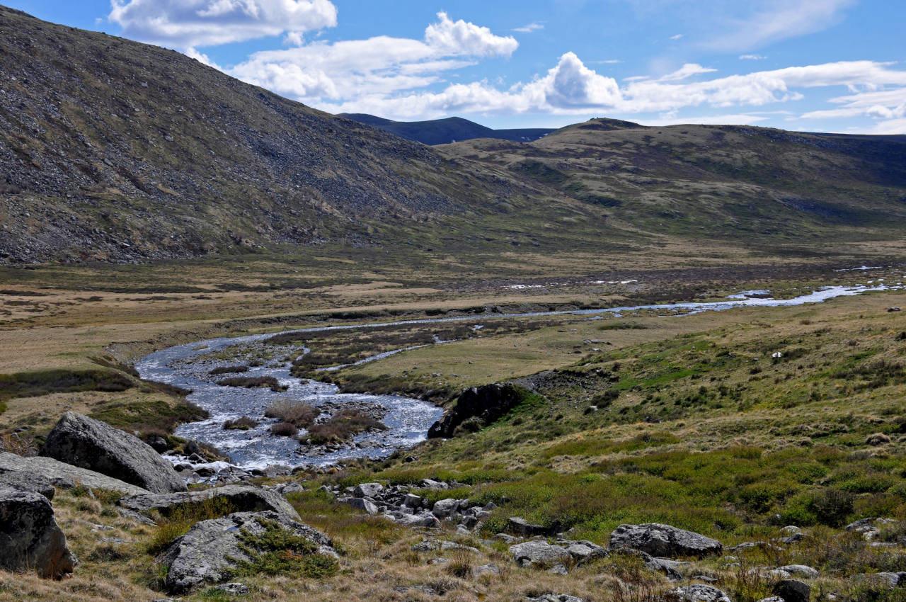 Долина реки Нарын-Гол, image of landscape/habitat.