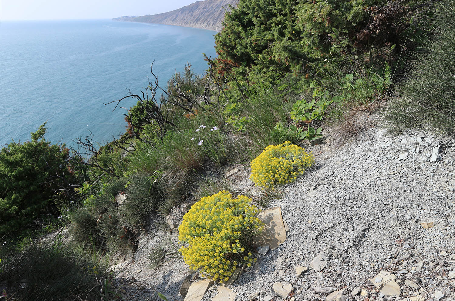 Супсех, image of landscape/habitat.