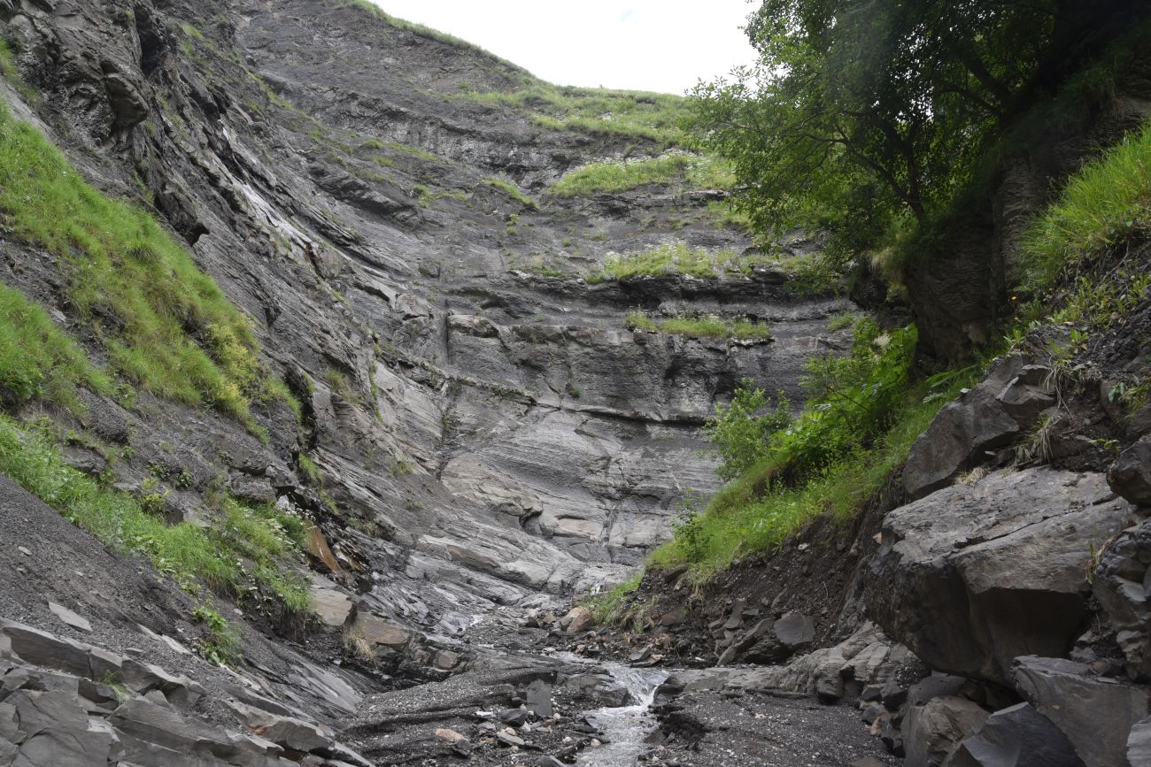 Ещё один левый приток Цесиахк, image of landscape/habitat.