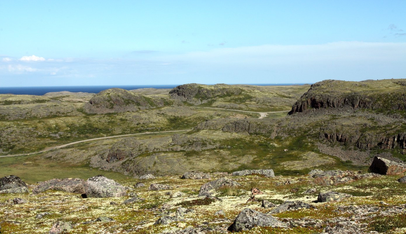 Дальние Зеленцы, image of landscape/habitat.