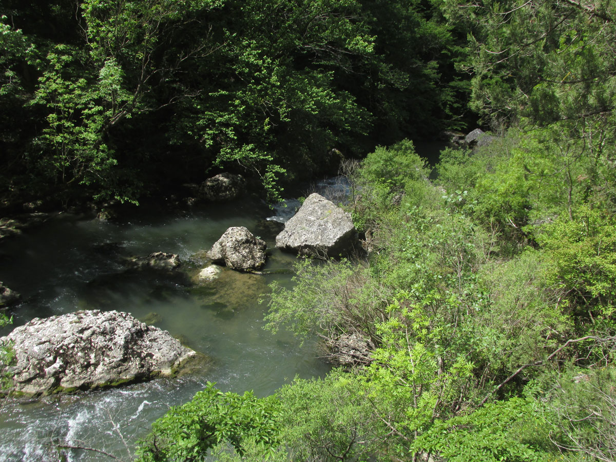 Чернореченский каньон, image of landscape/habitat.