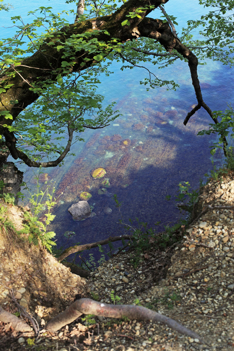 Парк Кадош и скала Киселёва, image of landscape/habitat.