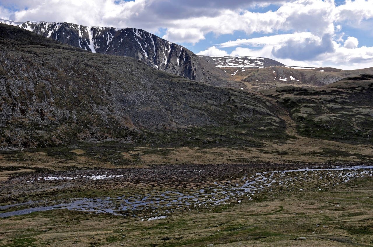 Долина реки Нарын-Гол, image of landscape/habitat.