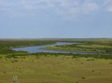 Яна, image of landscape/habitat.