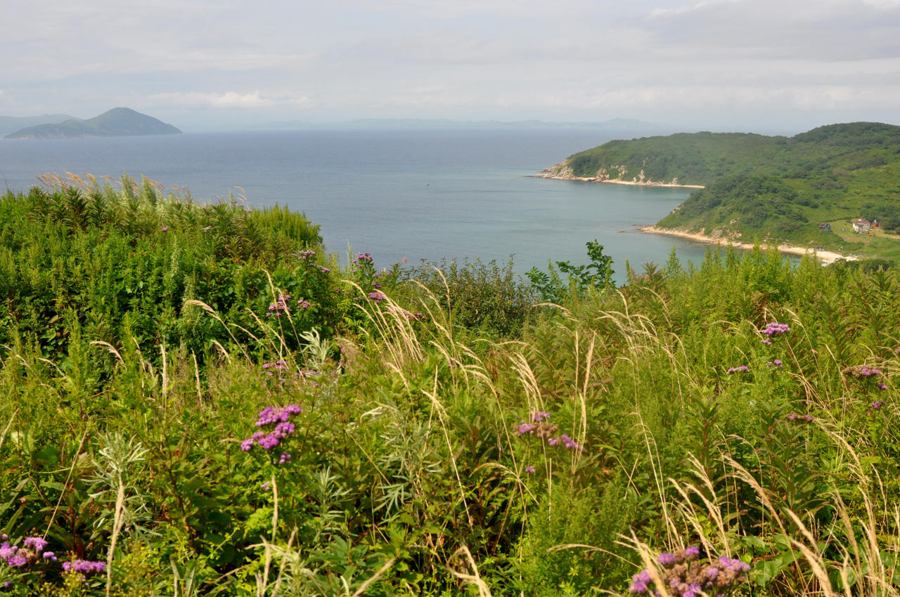 Остров Фуругельма, image of landscape/habitat.