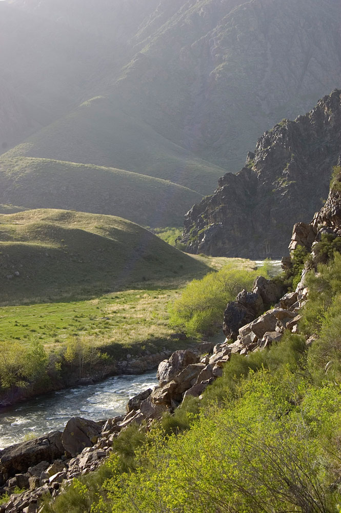 Ущелье Ерзасай, image of landscape/habitat.