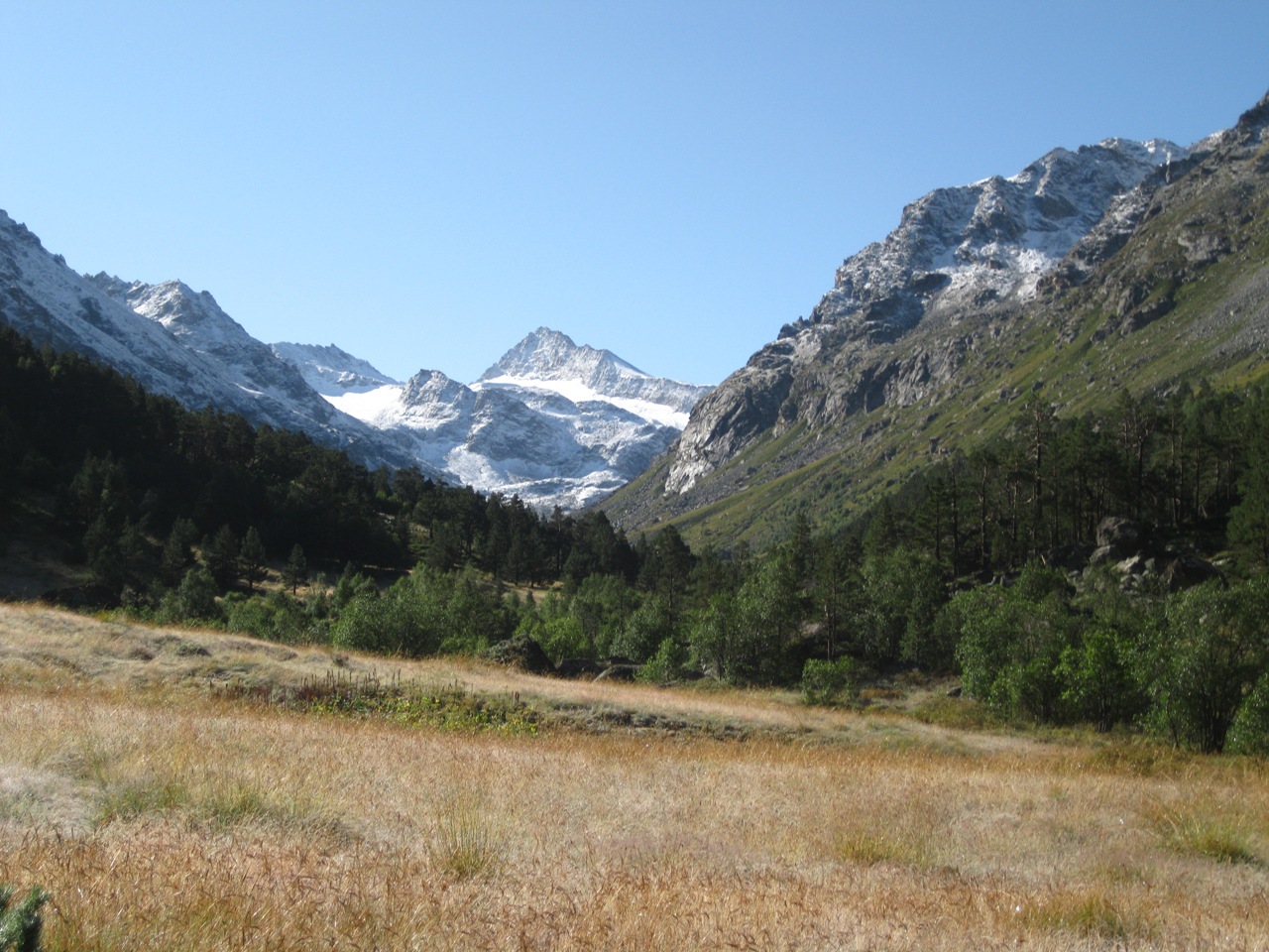 Ущелье Назылыкол, image of landscape/habitat.