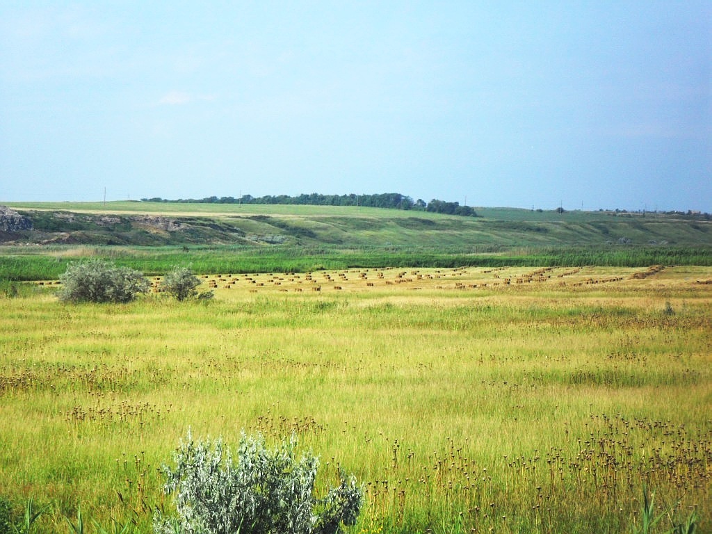 Дельта Дона, image of landscape/habitat.