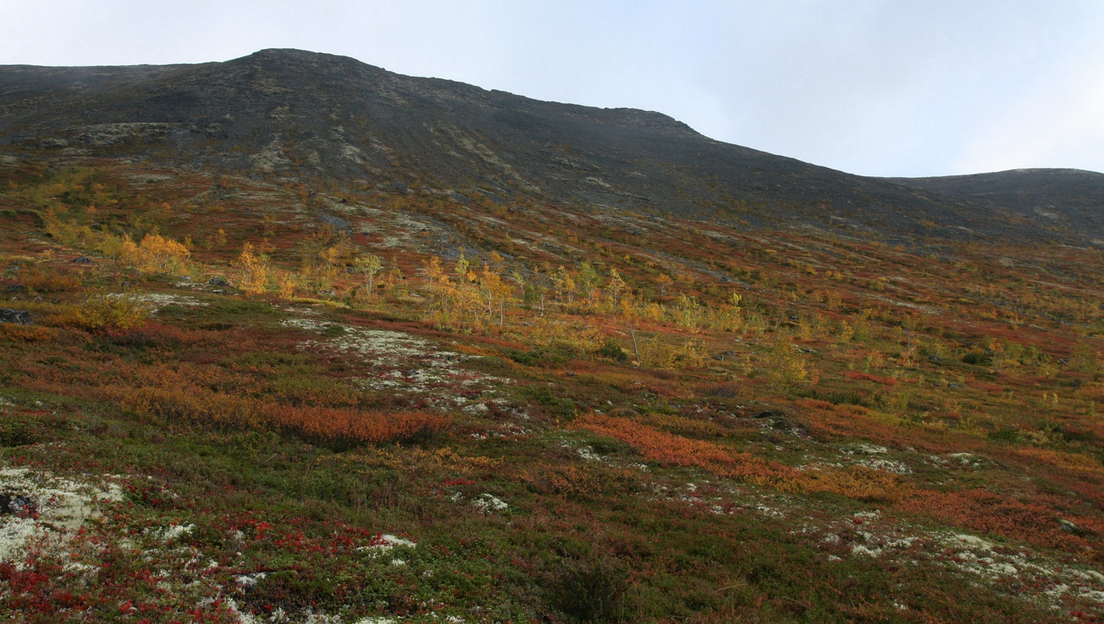 Кукисвумчорр, image of landscape/habitat.