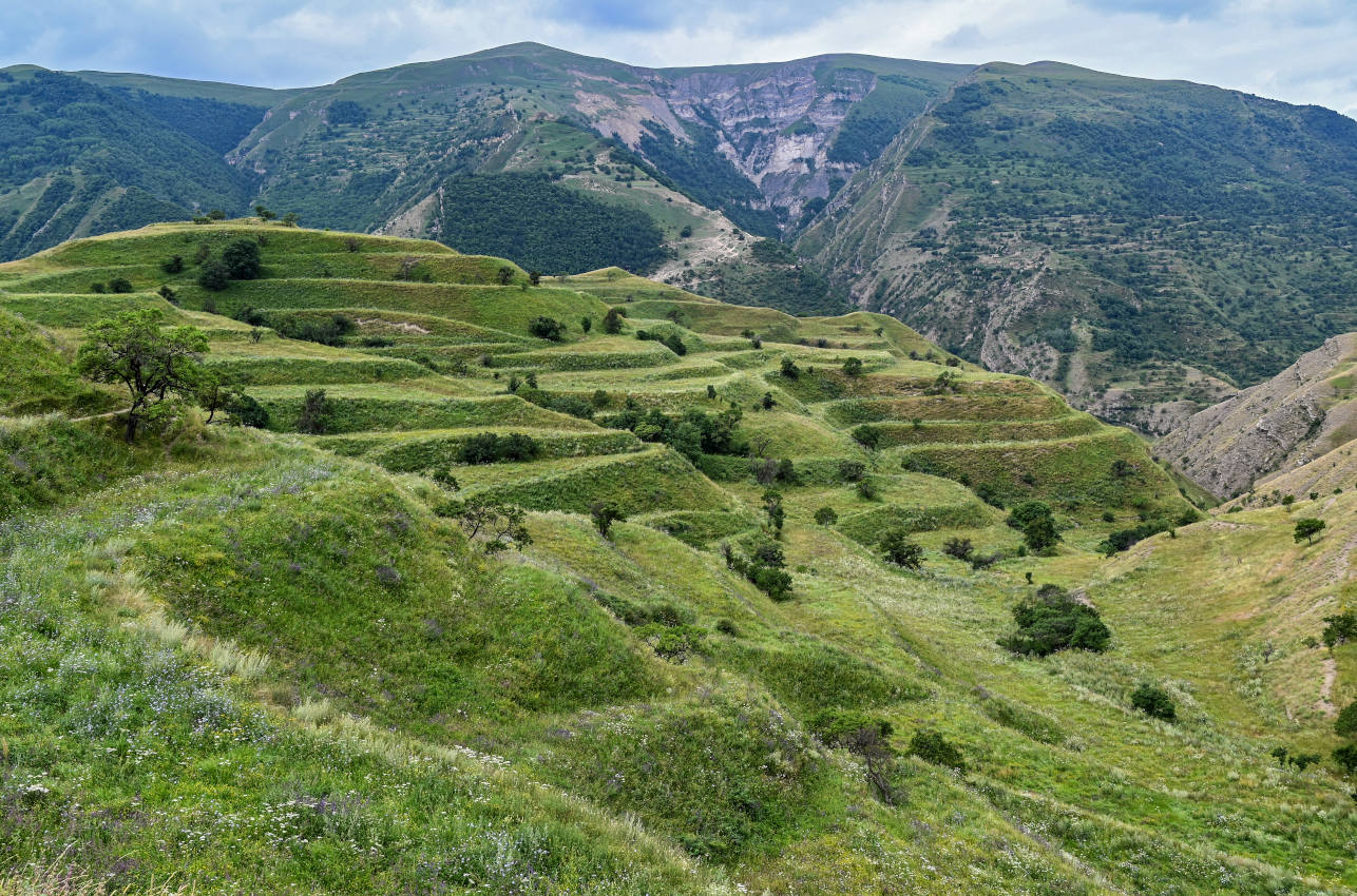 Окрестности села Чох, изображение ландшафта.