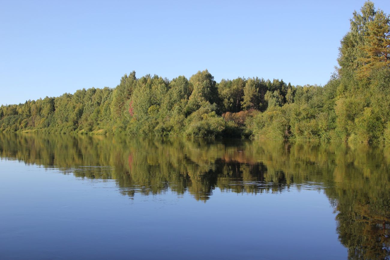 Устье ручья Ичеж, image of landscape/habitat.