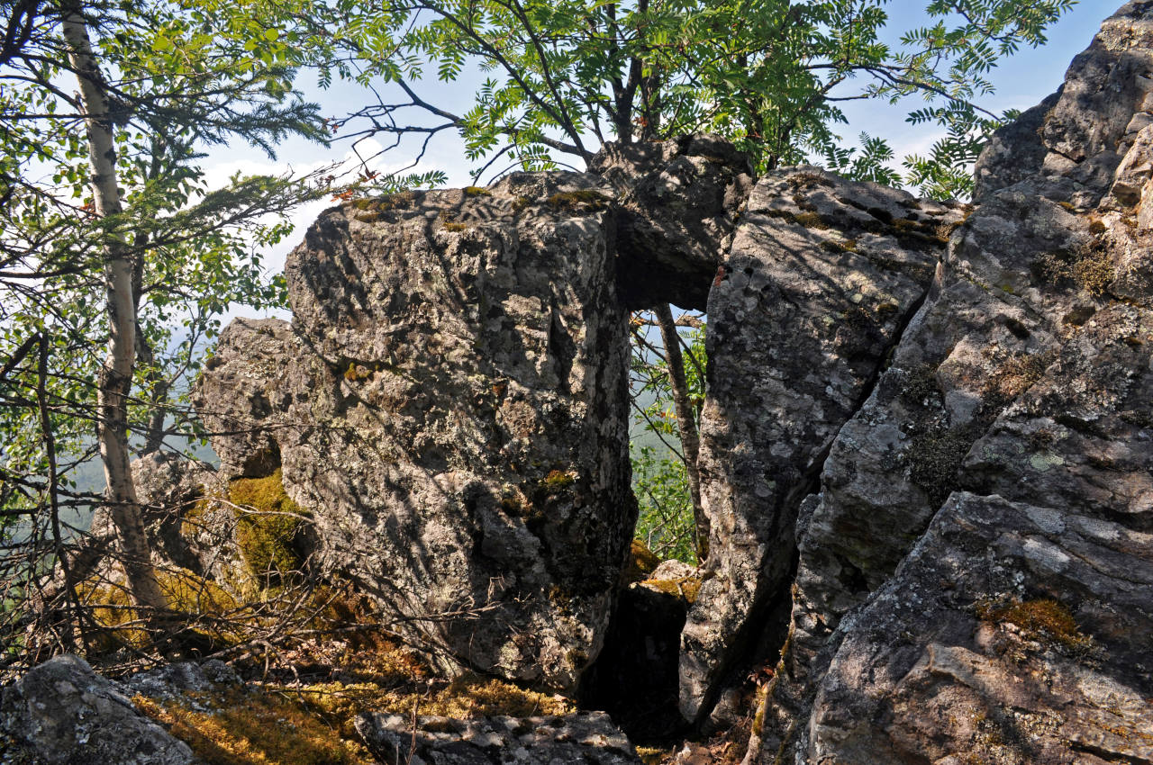 Хребет Москаль, image of landscape/habitat.