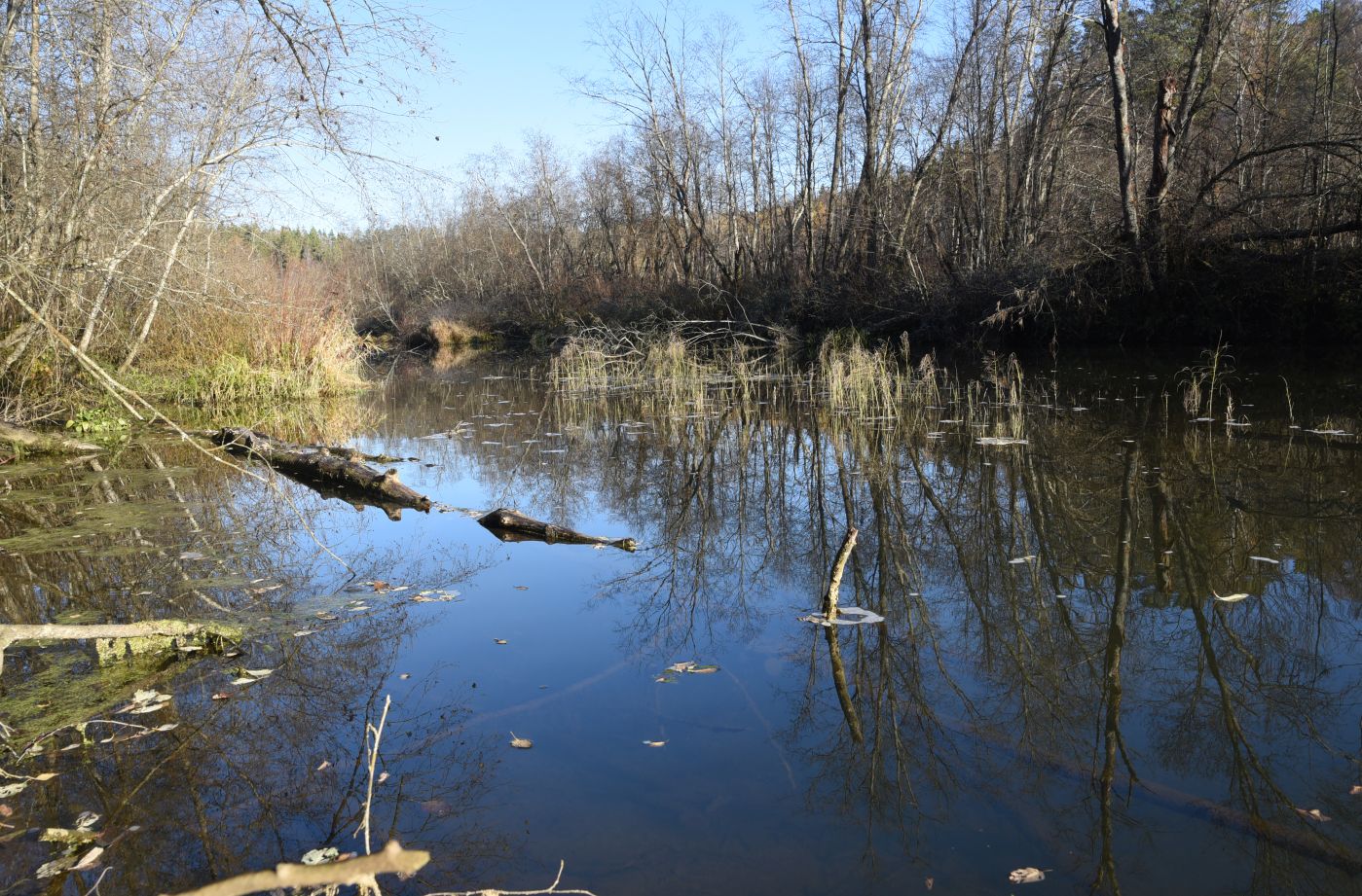 Окрестности деревни Семичёво, image of landscape/habitat.