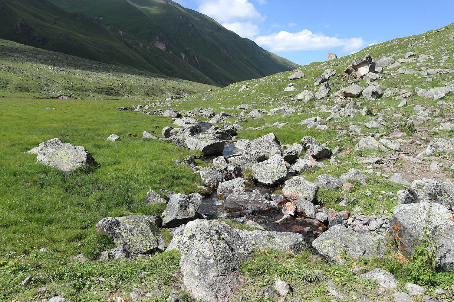 Родниковый ручей, image of landscape/habitat.