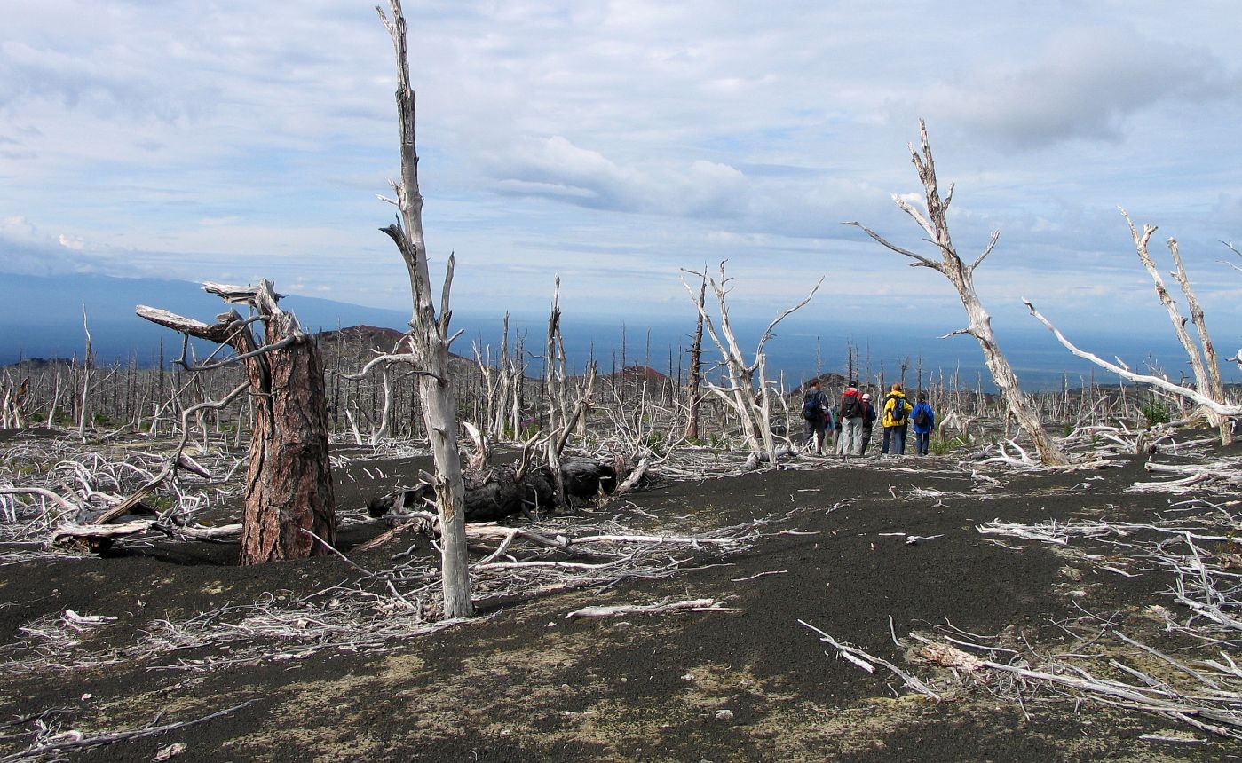 Северный прорыв, image of landscape/habitat.