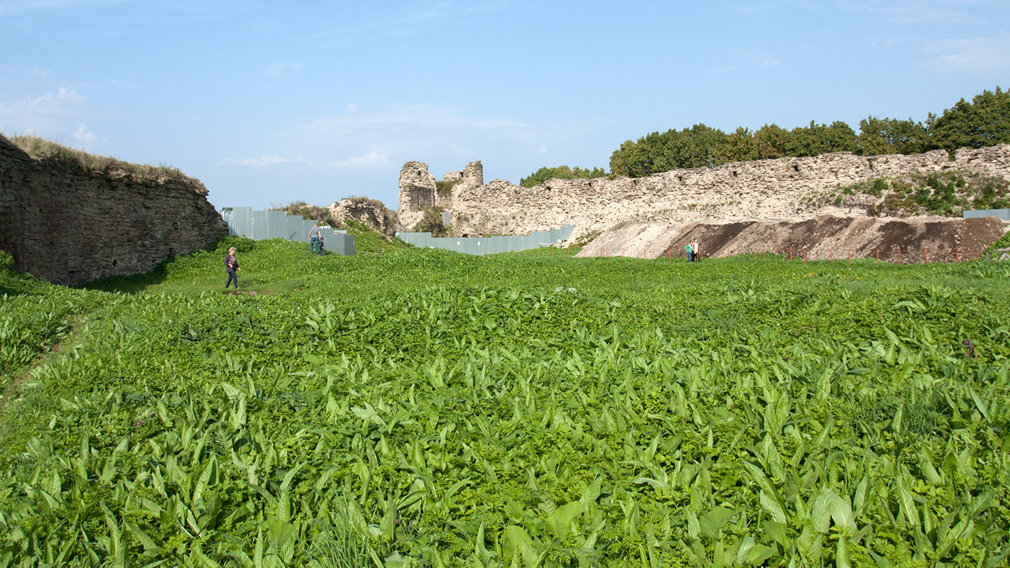 Копорье, image of landscape/habitat.