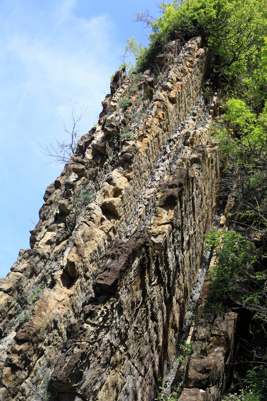 Парк Кадош и скала Киселёва, image of landscape/habitat.