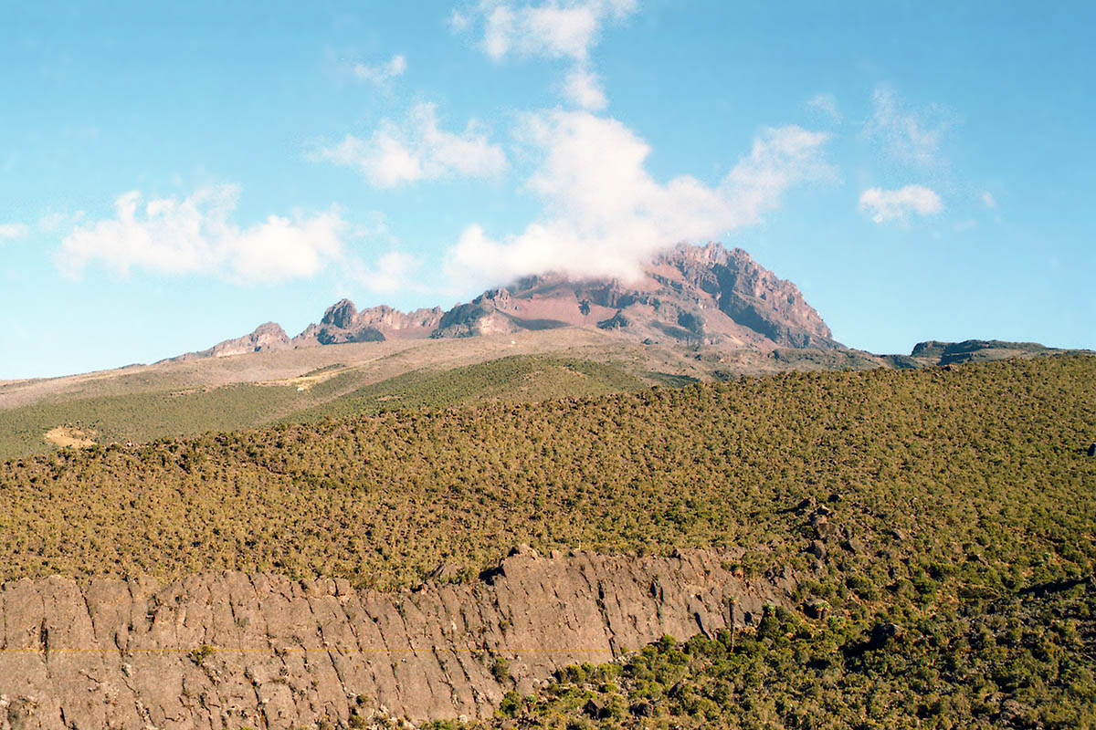 Килиманджаро, image of landscape/habitat.