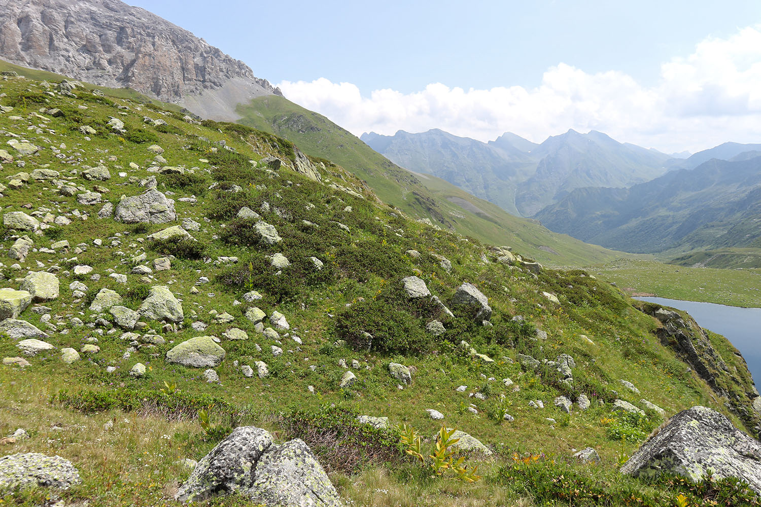 Ацгарские озёра, image of landscape/habitat.