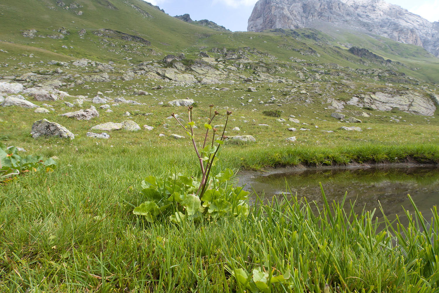 Ацгарские озёра, image of landscape/habitat.