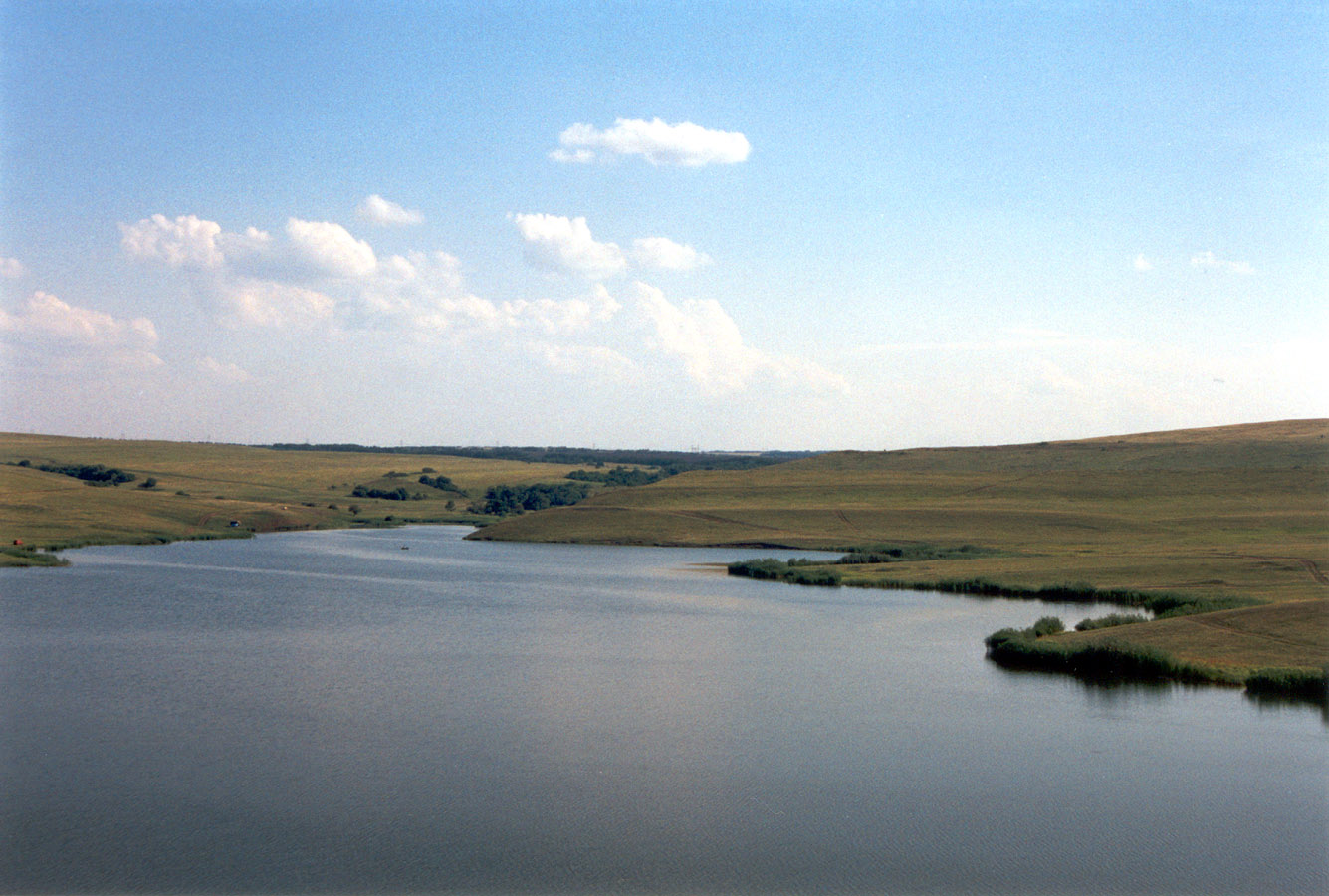 Провалье, Грушевский участок, image of landscape/habitat.