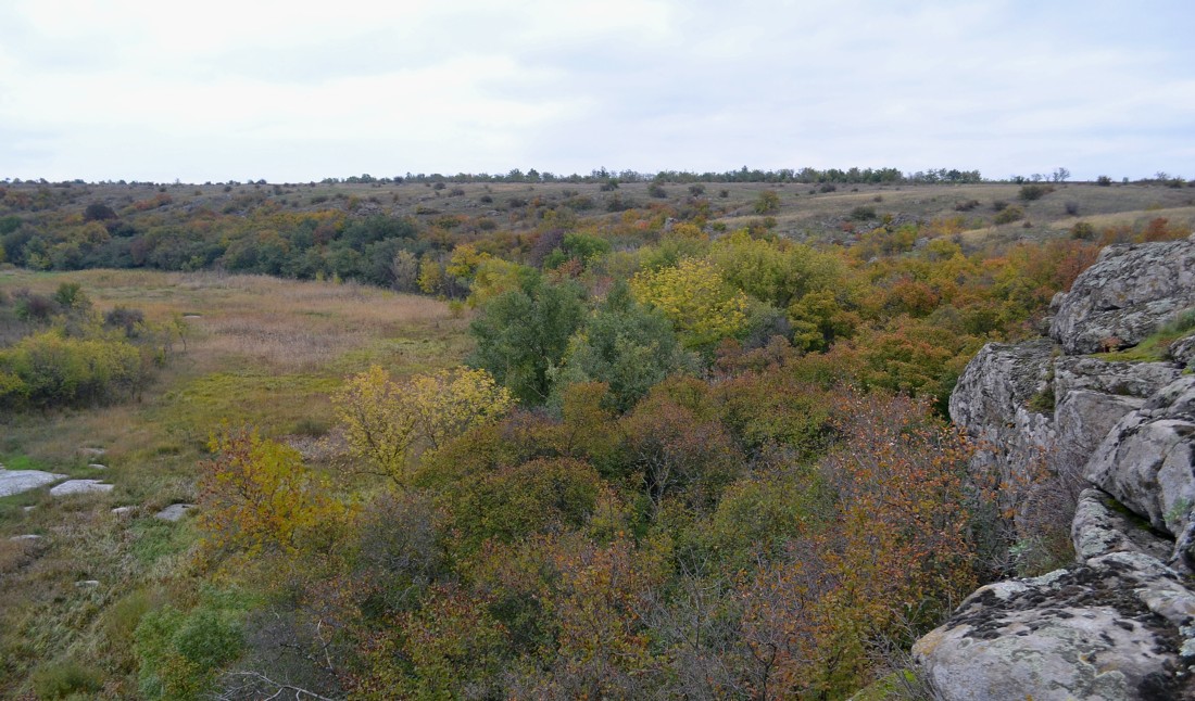 Урочище Монастырище, image of landscape/habitat.