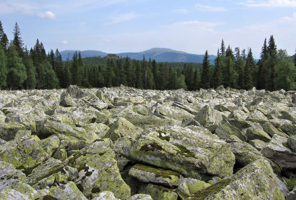 Зигальга, image of landscape/habitat.