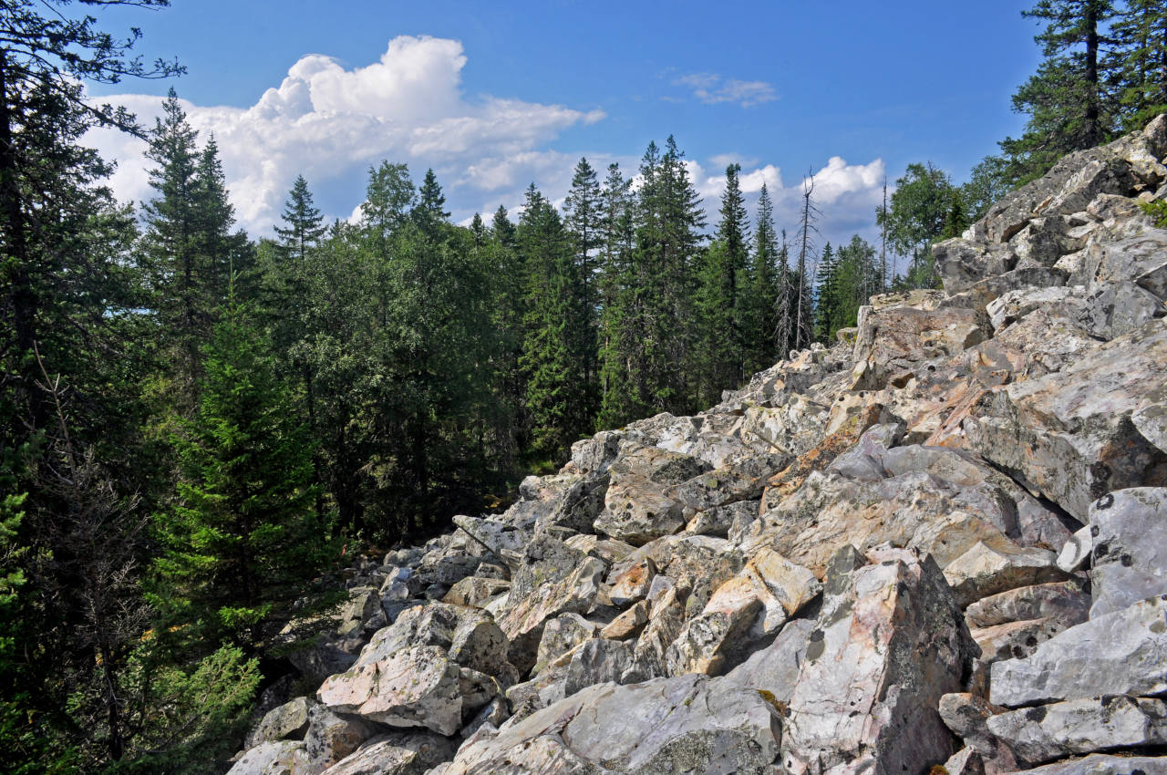 Хребет Москаль, изображение ландшафта.