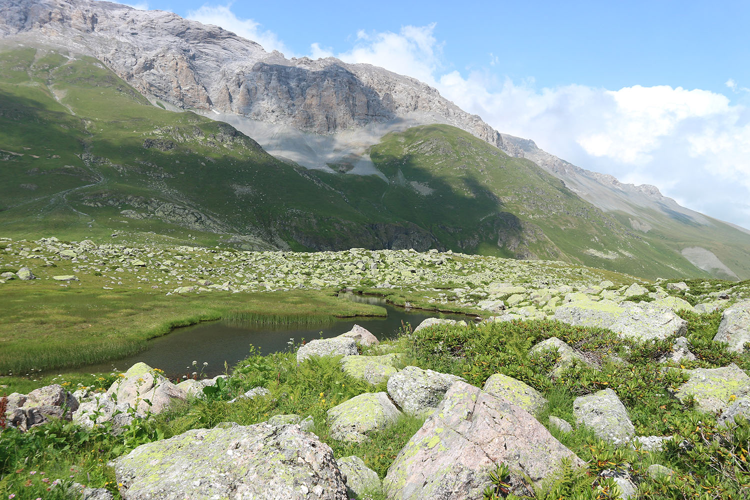 Ацгарские озёра, image of landscape/habitat.