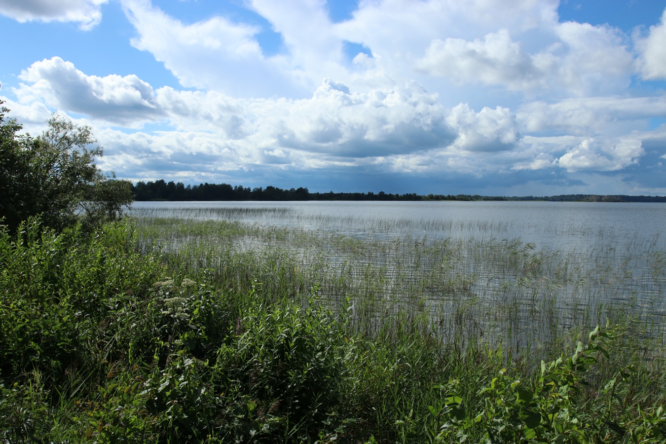 Езерище и окрестности, image of landscape/habitat.