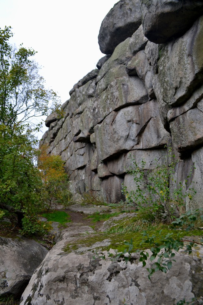 Урочище Монастырище, image of landscape/habitat.