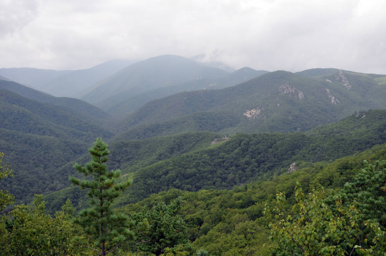 Окрестности села Чистоводное, image of landscape/habitat.