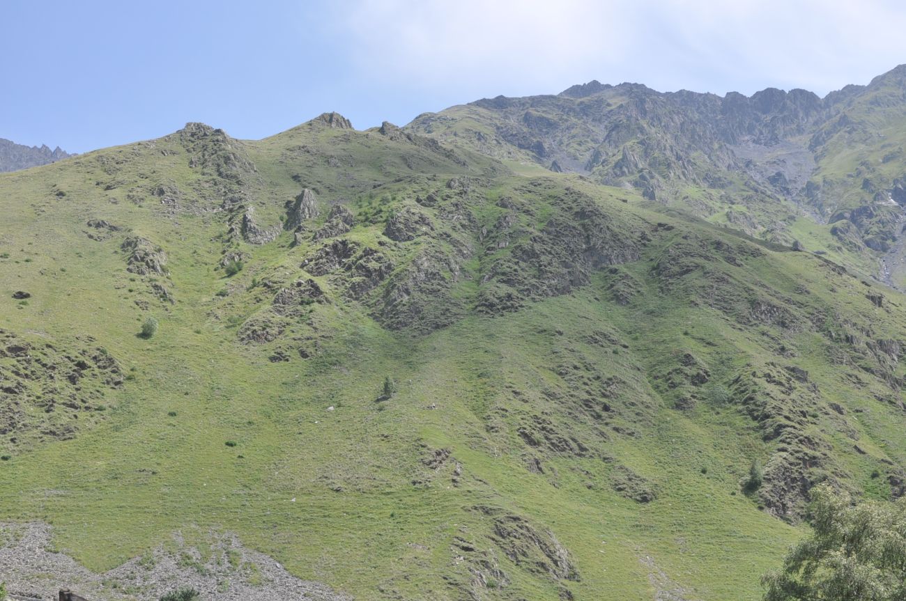 Западный склон горы Куро, изображение ландшафта.
