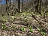 Гора Рябкова, image of landscape/habitat.