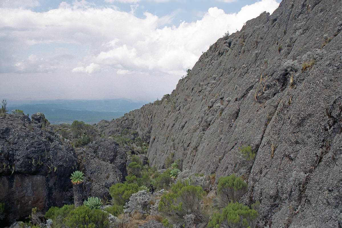 Килиманджаро, image of landscape/habitat.