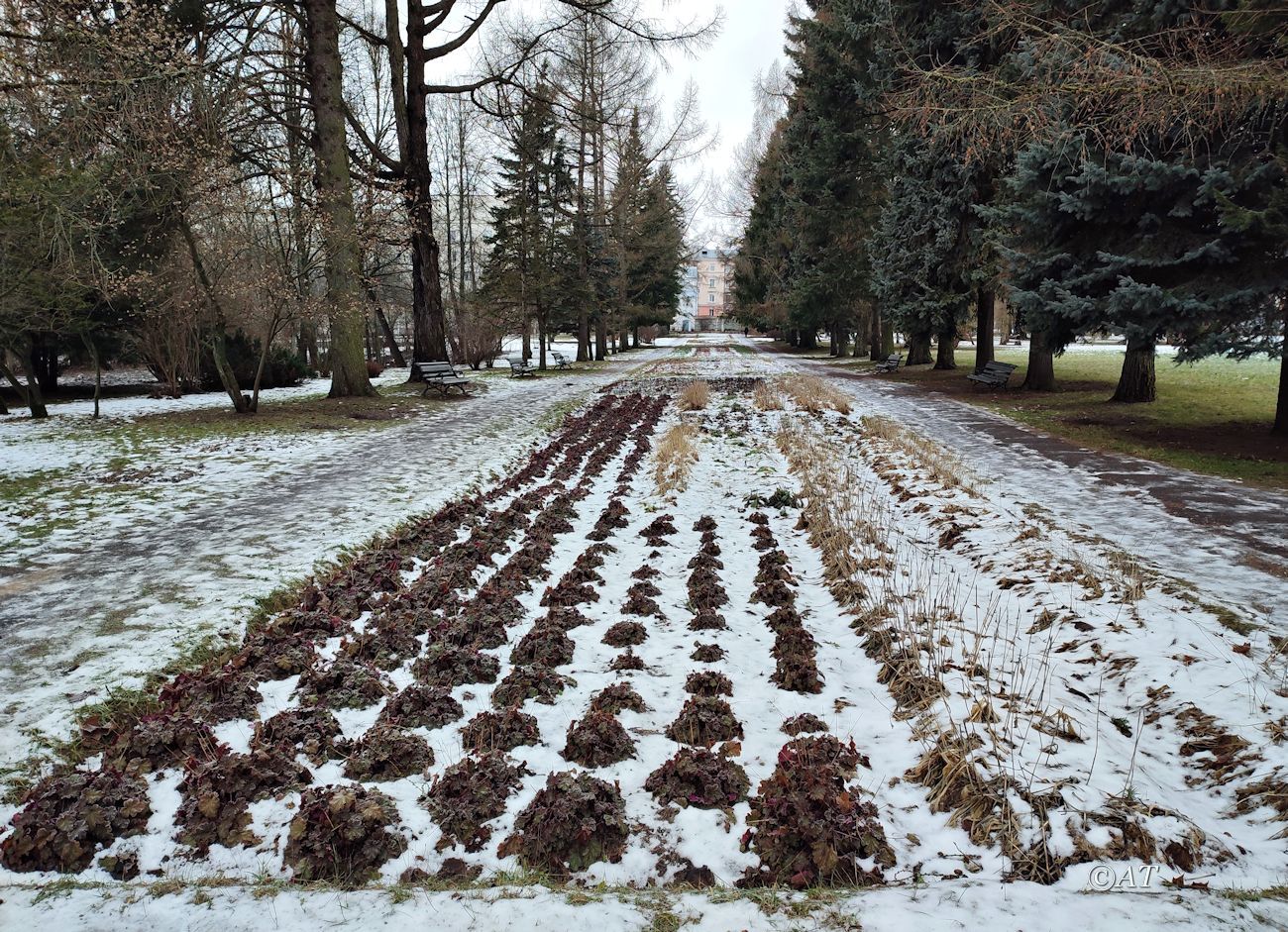 Ботсад Витебского университета, image of landscape/habitat.