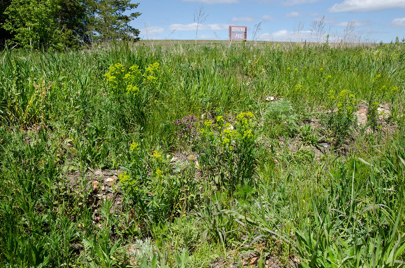 Урляда, image of landscape/habitat.