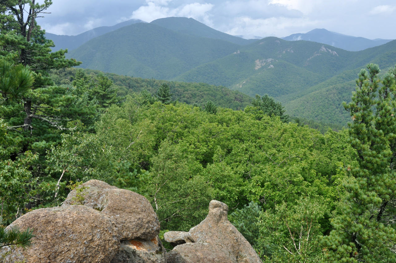 Окрестности села Чистоводное, image of landscape/habitat.