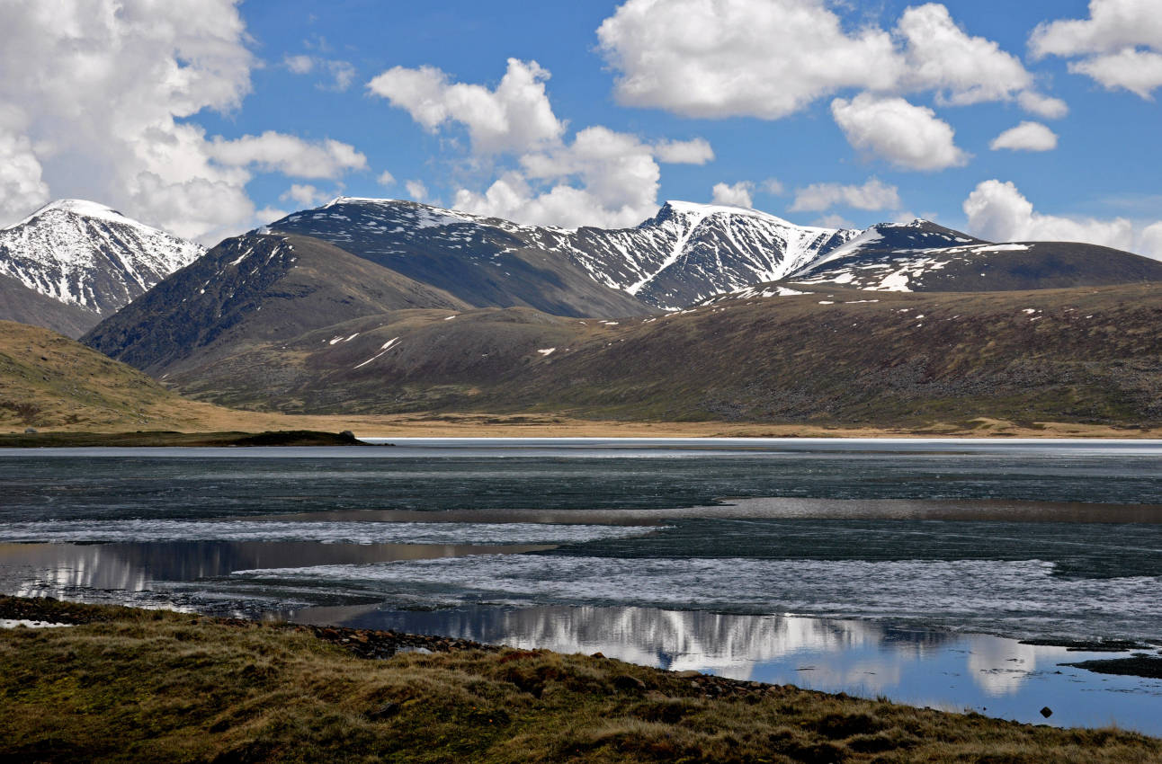Озера гор южной сибири. Горные тундры Алтая. Горная тундра Саяны. Высокогорная тундра Алтай. Южно Сибирские ландшафты.