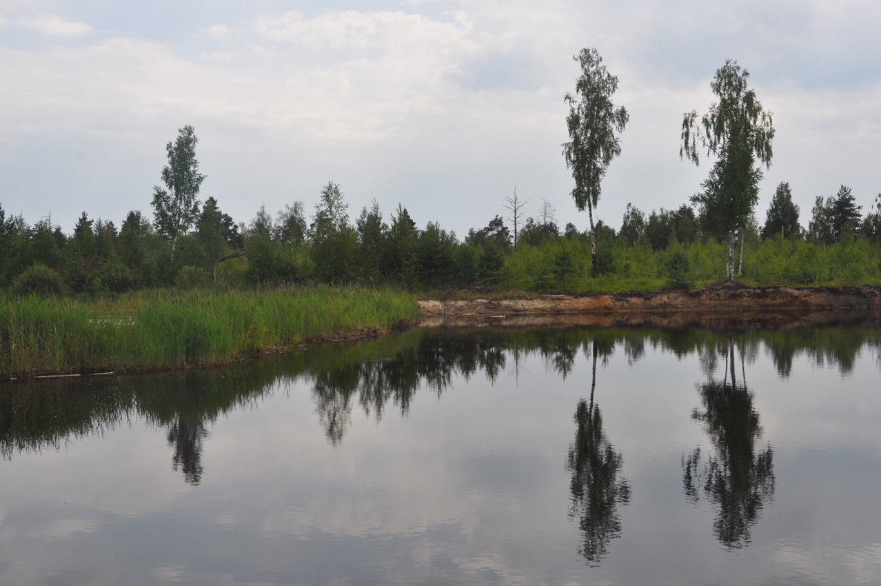 Озеро Свиношное Шатурского района рыбалка