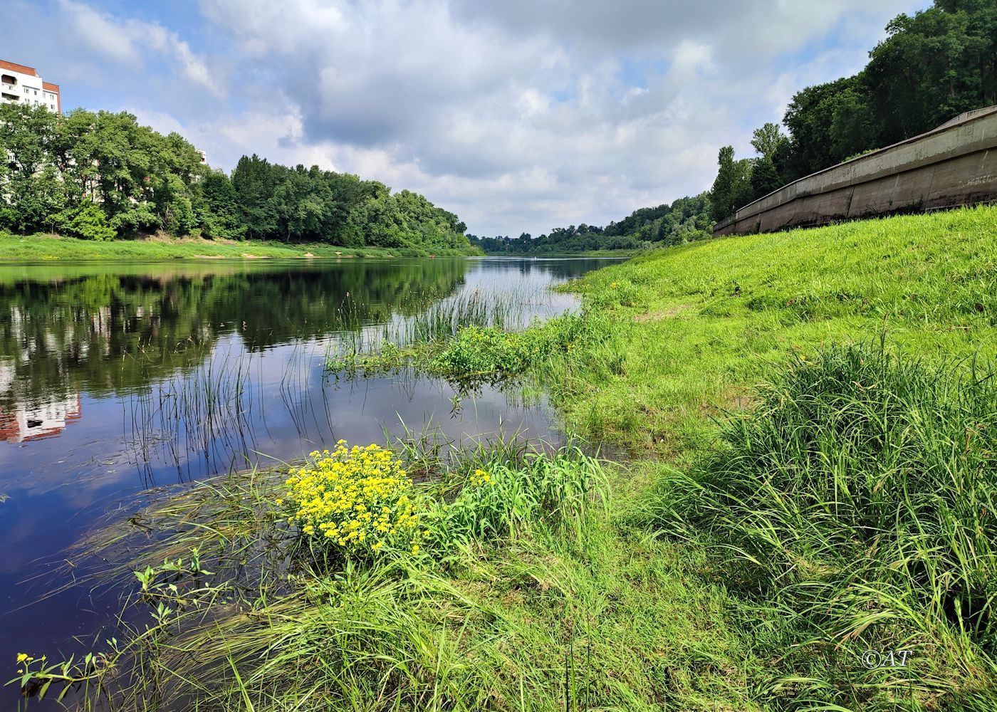 Центр Витебска, image of landscape/habitat.