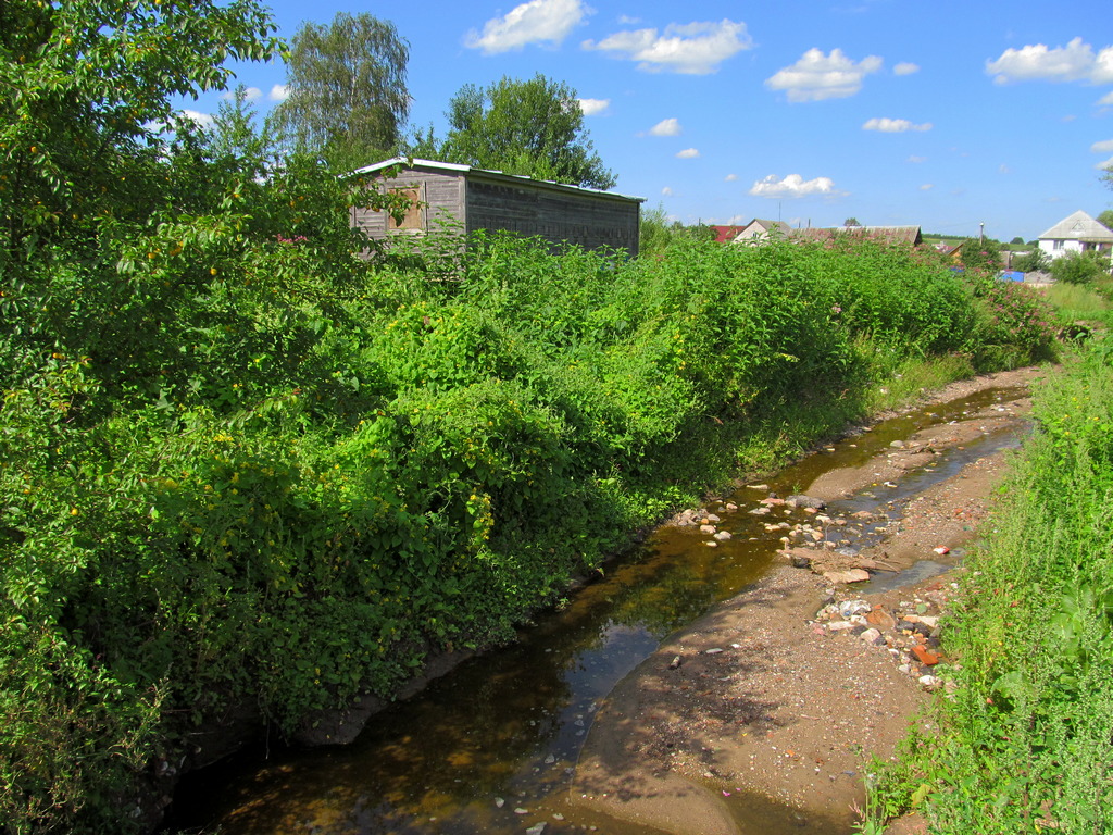 Новогрудок, image of landscape/habitat.