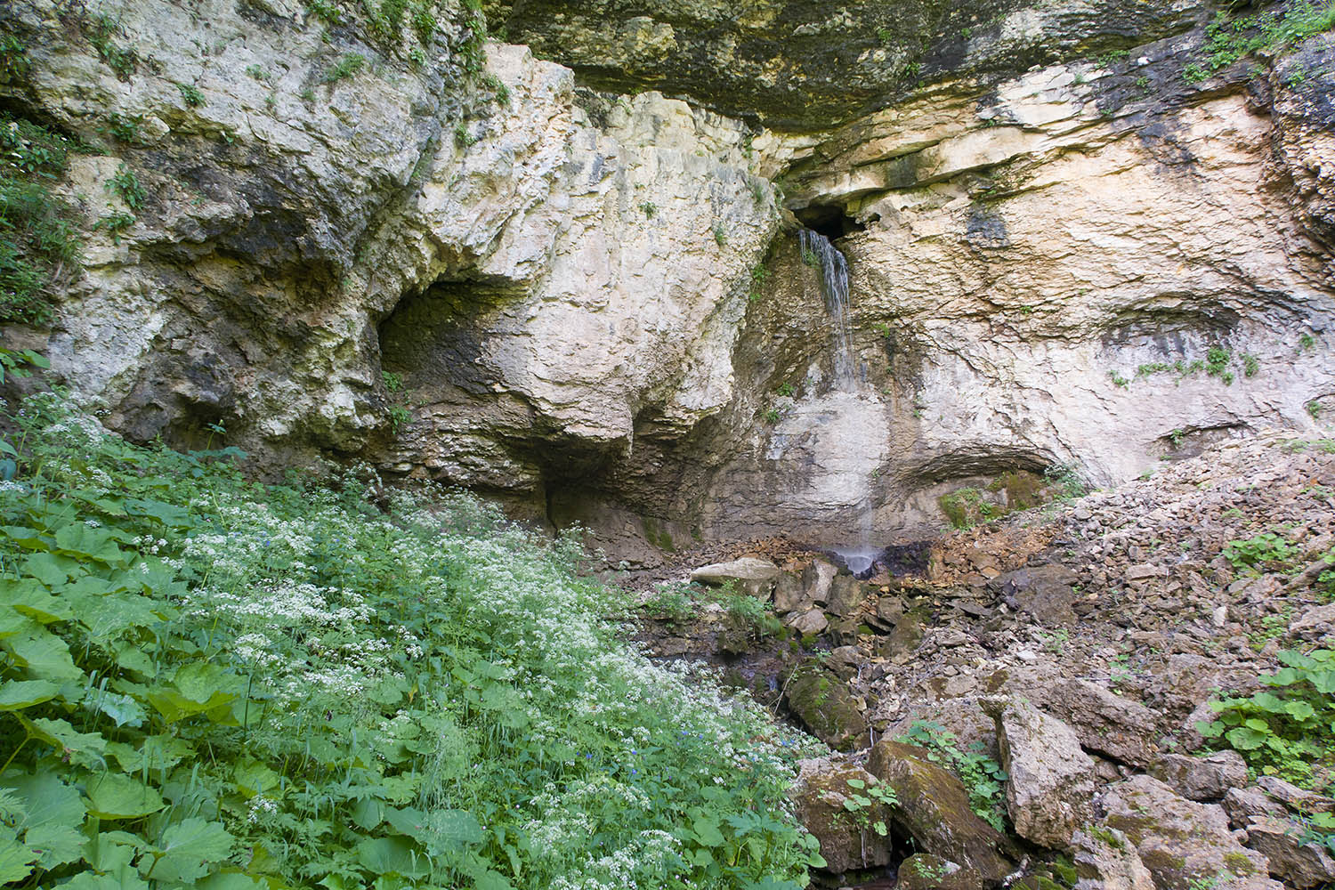 Балка Клевцова, image of landscape/habitat.