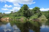 Луга у Кемки, image of landscape/habitat.