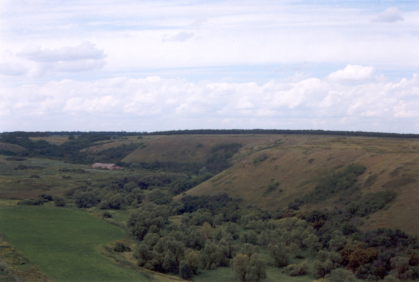 Провалье, Калиновский участок, image of landscape/habitat.