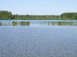 Иваньковское водохранилище, изображение ландшафта.