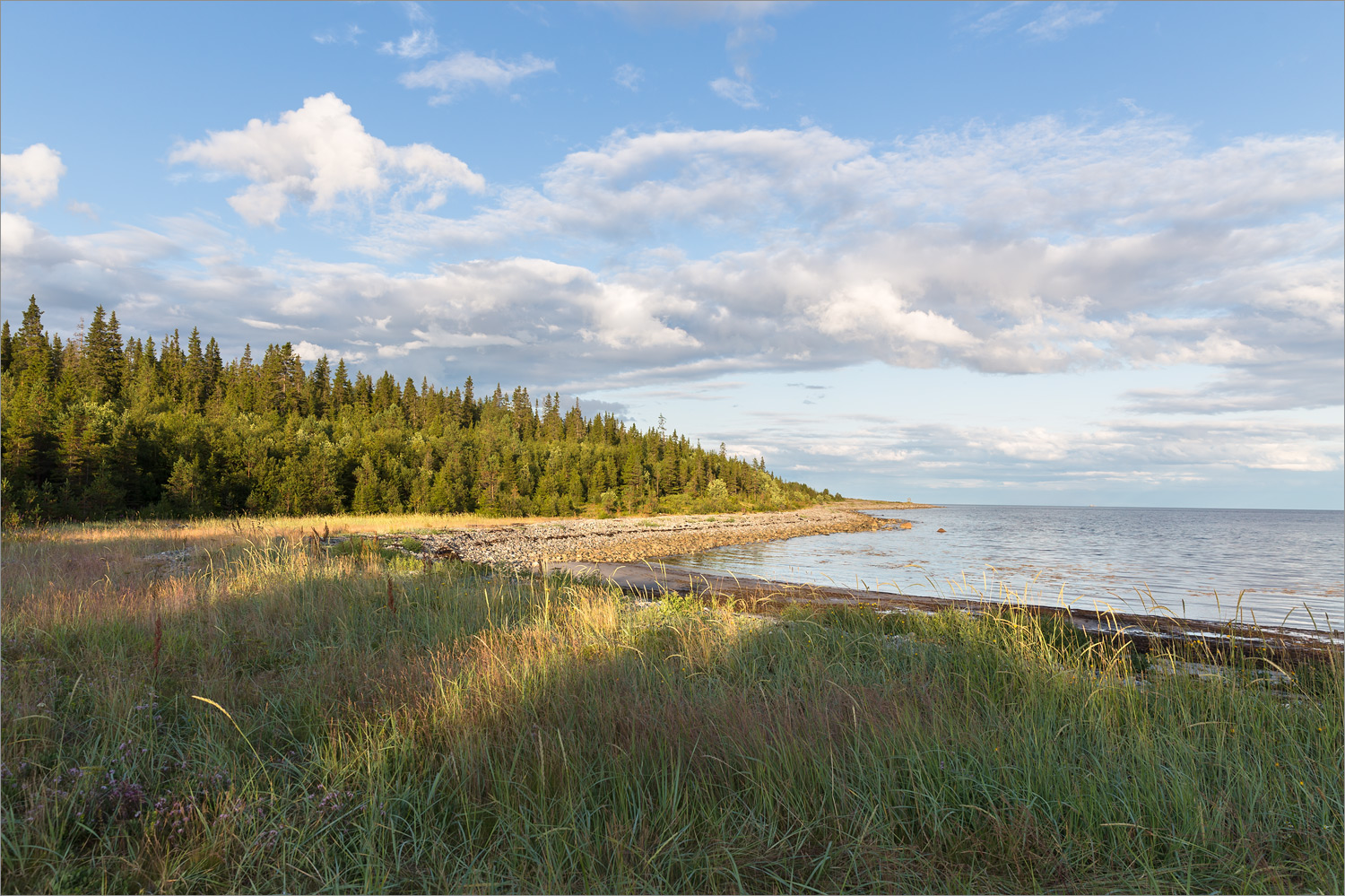 Мыс Носок, image of landscape/habitat.